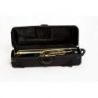 Comprar Bressant Ttb220 Trombón Si Bemol Fa Lacado Oro al mejor