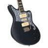 D'angelico Premier Bob Weir Bedford Matte Stone