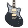 D'angelico Premier Bob Weir Bedford Matte Stone