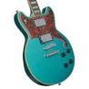 D'angelico Premier Brighton Ocean Turq