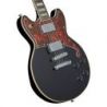 D'angelico Premier Brighton Black