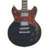 D'angelico Premier Brighton Black