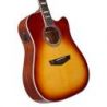D'angelico Premier Bowery Iced Tea Burst
