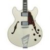 D'angelico Premier Dc Champagne