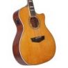 D'angelico Premier Fulton Vintage Natural