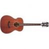 Comprar D'angelico Premier Tammany Ls Mahogany Satin al mejor