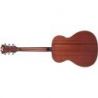Comprar D'angelico Premier Tammany Ls Mahogany Satin al mejor