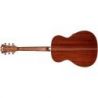 Comprar D'angelico Premier Tammany Iced Tea Burst al mejor