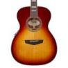 Comprar D'angelico Premier Tammany Iced Tea Burst al mejor