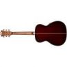 Comprar D'angelico Premier Tammany Trans Black Cherry Bst al
