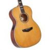 D'angelico Premier Tammany Vintage Natural