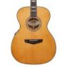 D'angelico Premier Tammany Vintage Natural