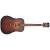 D'angelico Premier Lexington Ls Aged Mahogany