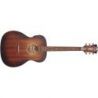 Comprar D'angelico Premier Tammany Ls Aged Mahogany al mejor