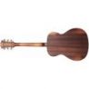 Comprar D'angelico Premier Tammany Ls Aged Mahogany al mejor