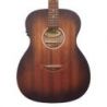 Comprar D'angelico Premier Tammany Ls Aged Mahogany al mejor