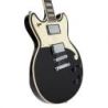 D'Angelico Premier Brighton Black Flake
