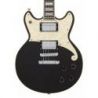 D'Angelico Premier Brighton Black Flake