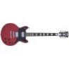 D'Angelico Premier Brighton Oxblood
