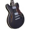 D'Angelico Premier Mini Dc Black Flake