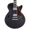 Comprar D'Angelico Premier Ss Black Flake al mejor precio