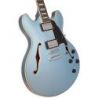D'angelico Premier Dc Boardwalk Ibm
