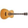 D'angelico Premier Tammany An