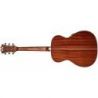 D'angelico Premier Tammany An