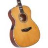 D'angelico Premier Tammany An