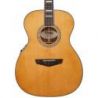 D'angelico Premier Tammany An