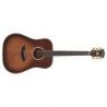 D'angelico Excel Lexington Autumn Burst