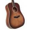 D'angelico Excel Lexington Autumn Burst