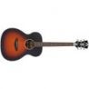 Comprar D'angelico Premier Tammany Ls Satin Vintage Sunburst al