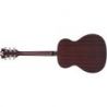 Comprar D'angelico Premier Tammany Ls Satin Vintage Sunburst al