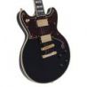 Comprar D'angelico Deluxe Brighton Solid Black al mejor precio