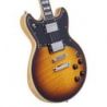 Comprar D'angelico Deluxe Brighton Vintage Sunburst al mejor