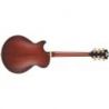 Comprar D'angelico Deluxe SS Satin Brown Burst al mejor precio
