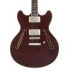 Comprar D'angelico Excel DC Tour Collect SW al mejor precio