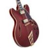 Comprar D'angelico Excel DC Viola al mejor precio