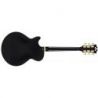 Comprar D'angelico Excel SS Solid Black al mejor precio
