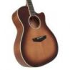 Comprar D'angelico Excel Gramercy Autumn Burst al mejor precio