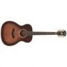 Comprar D'angelico Excel Tammany Autumn Burst al mejor precio