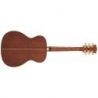 Comprar D'angelico Excel Tammany Autumn Burst al mejor precio