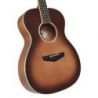 Comprar D'angelico Excel Tammany Autumn Burst al mejor precio