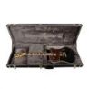 Comprar D'angelico Deluxe Electric Hardshell Ludlow Estuche al