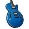 Comprar D'angelico Premier SS Fabrizio Sotti Fb al mejor precio