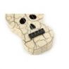 Comprar Mahalo Ukelele Creative Series Skull White al mejor
