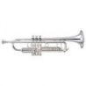 Comprar Memphis Silver Trompeta al mejor precio
