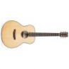 Sx Ss760 Guitarra Acústica Natural