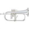 Comprar Yamaha YFH-8310ZGS 02 al mejor precio